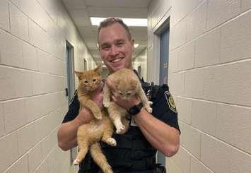 Sarnia Police Cst. Erik Ostenfeldt with two cats he rescued from a dumpster near a city park. November 2022. (Photo by Sarnia Police)
