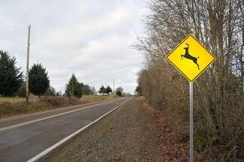 A deer/elk crossing sign on a rural road. © Can Stock Photo / Vlue