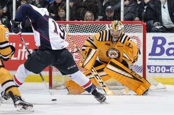 Sting vs. Spitfires. (Photo courtesy of Metcalfe Photography.)