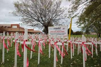 Nearly 300 white crosses and red ribbons at Temple Baptist Church Nov. 3, 2018 (Blackburnnews.com photo by Dave Dentinger)