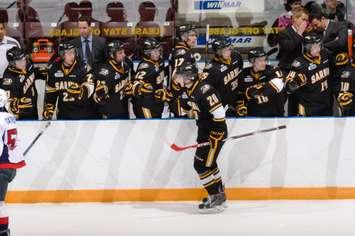Ryan  Vendramin scored twice in the Sting's 4-2 win over Windsor Sept 12,2014
(photo courtesy of Metcalfe Photography)