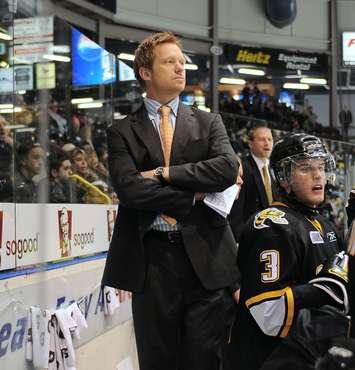 Windsor Spitfires Associate Coach Trevor Letowski during his time as coach with the Sarnia Sting. (Photo courtesy OHL Images)
