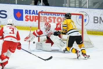 Sarnia Sting against Soo Greyhounds February 3, 2023. (Photo by Metcalfe Photography) 